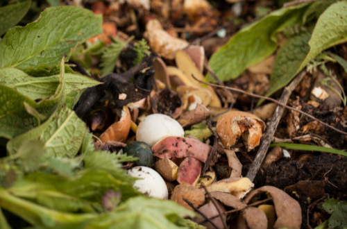 Food waste compost