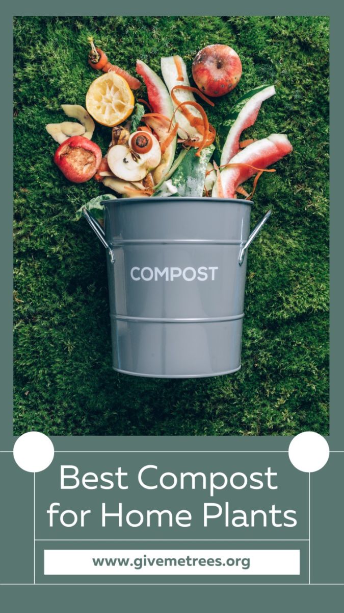 Best Compost for Plants