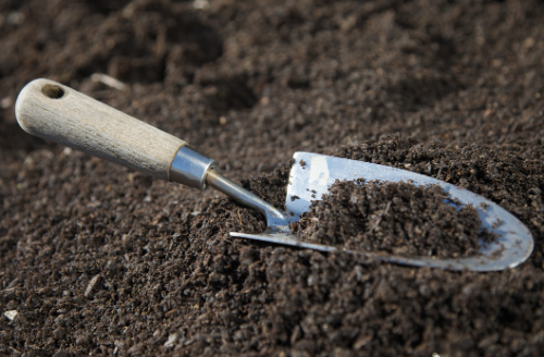 Hand Trowel - Gardening Tool