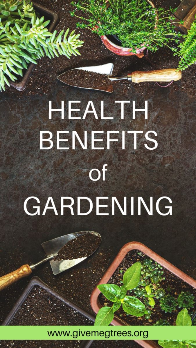 Health Benefits of Gardening
