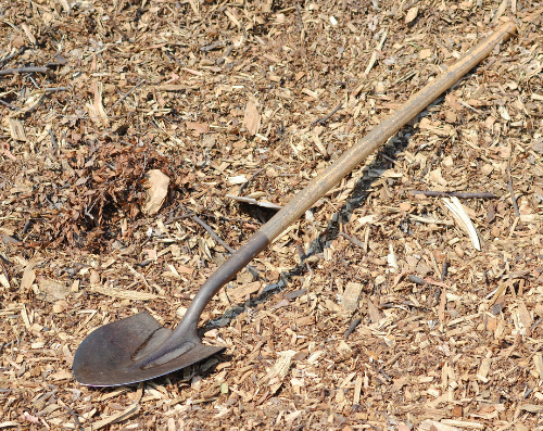 Shovel - Gardening Tools