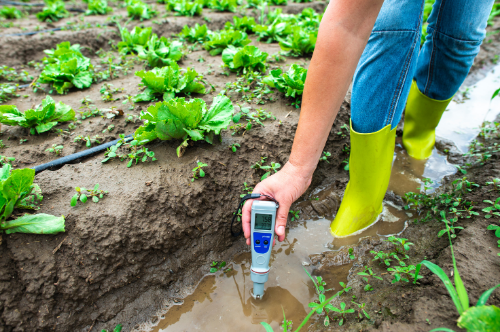 Soil pH Meter - Gardening Tool