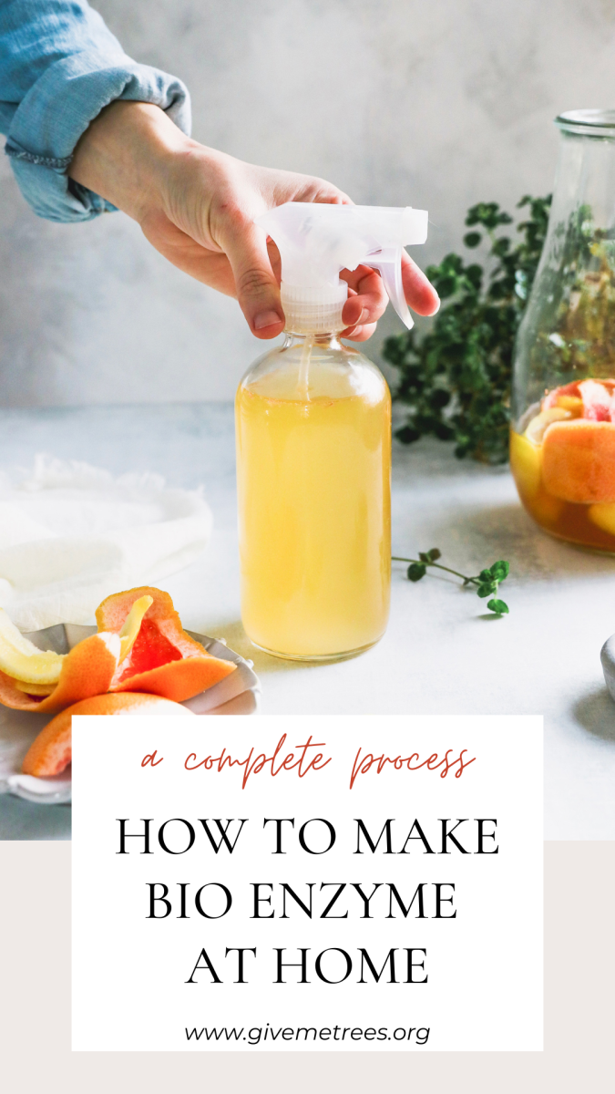 How to make Bio Enzyme for plants