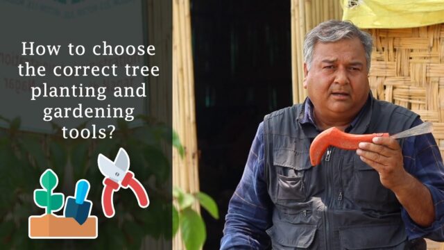 How to choose correct tree planting and gardening tool