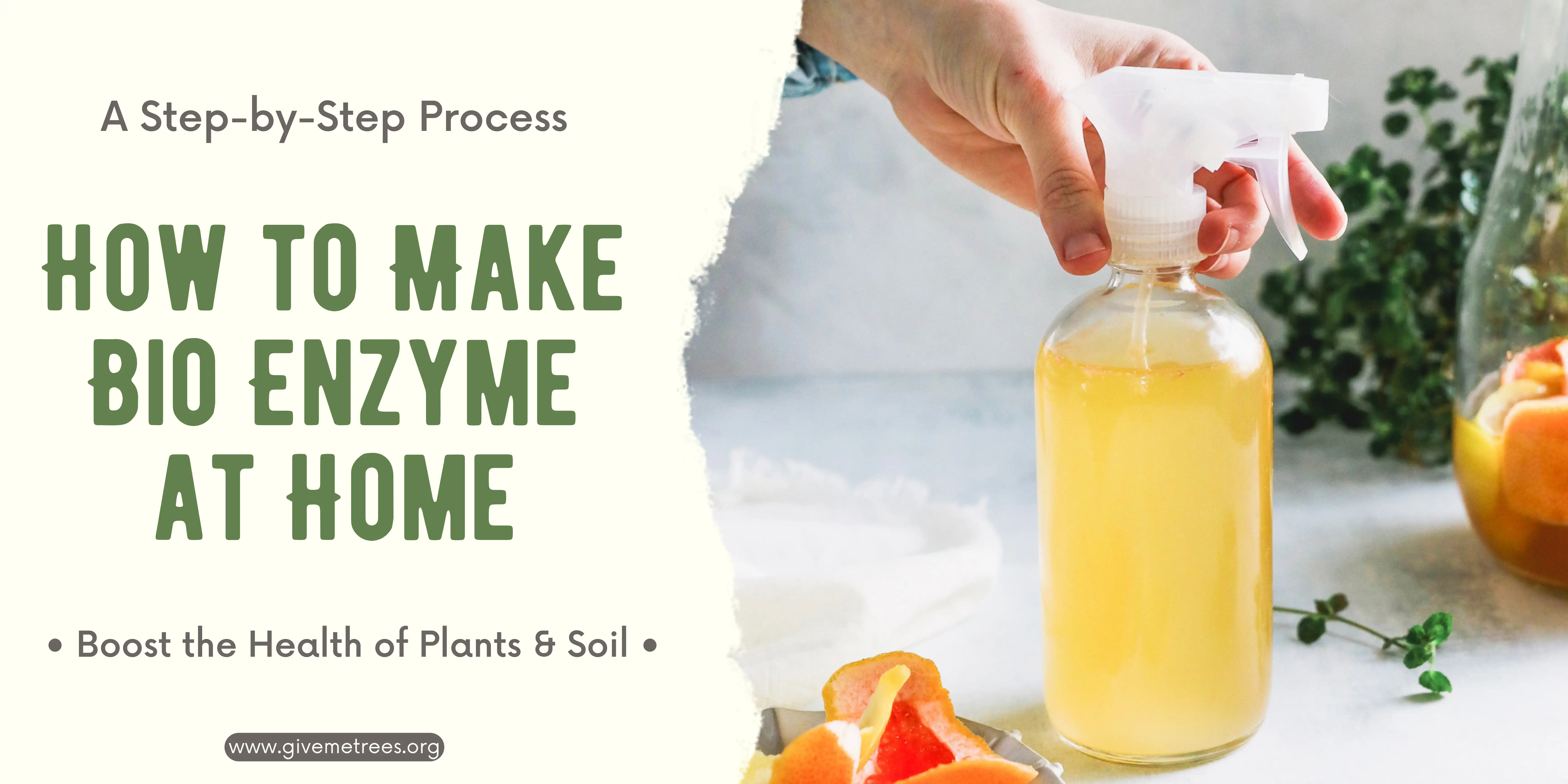 How to Make Bio Enzyme at Home