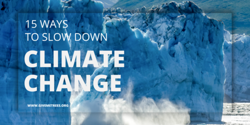 15 Ways to Prevent Climate Change