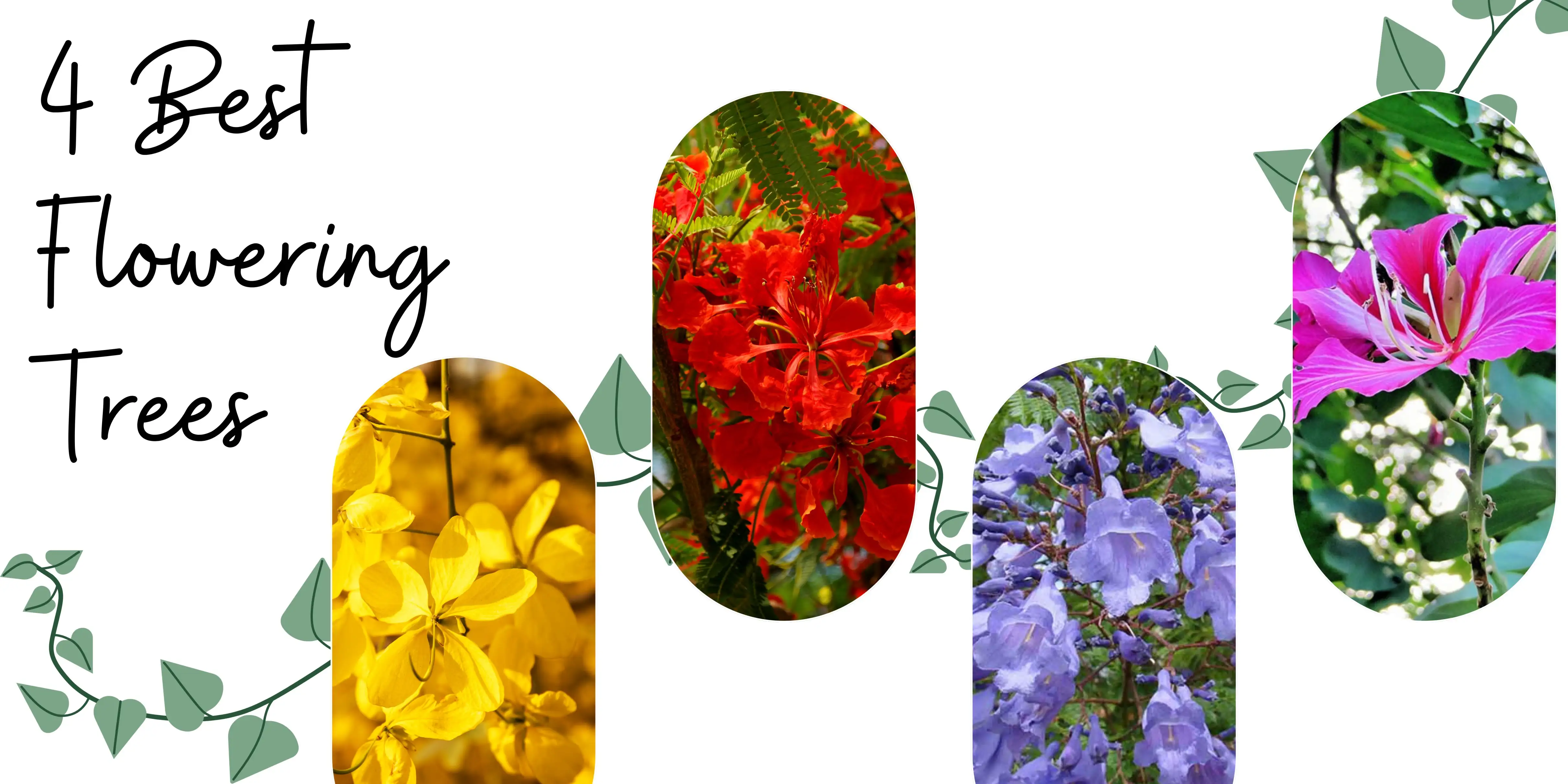 4 Best Flowering Trees to Plant