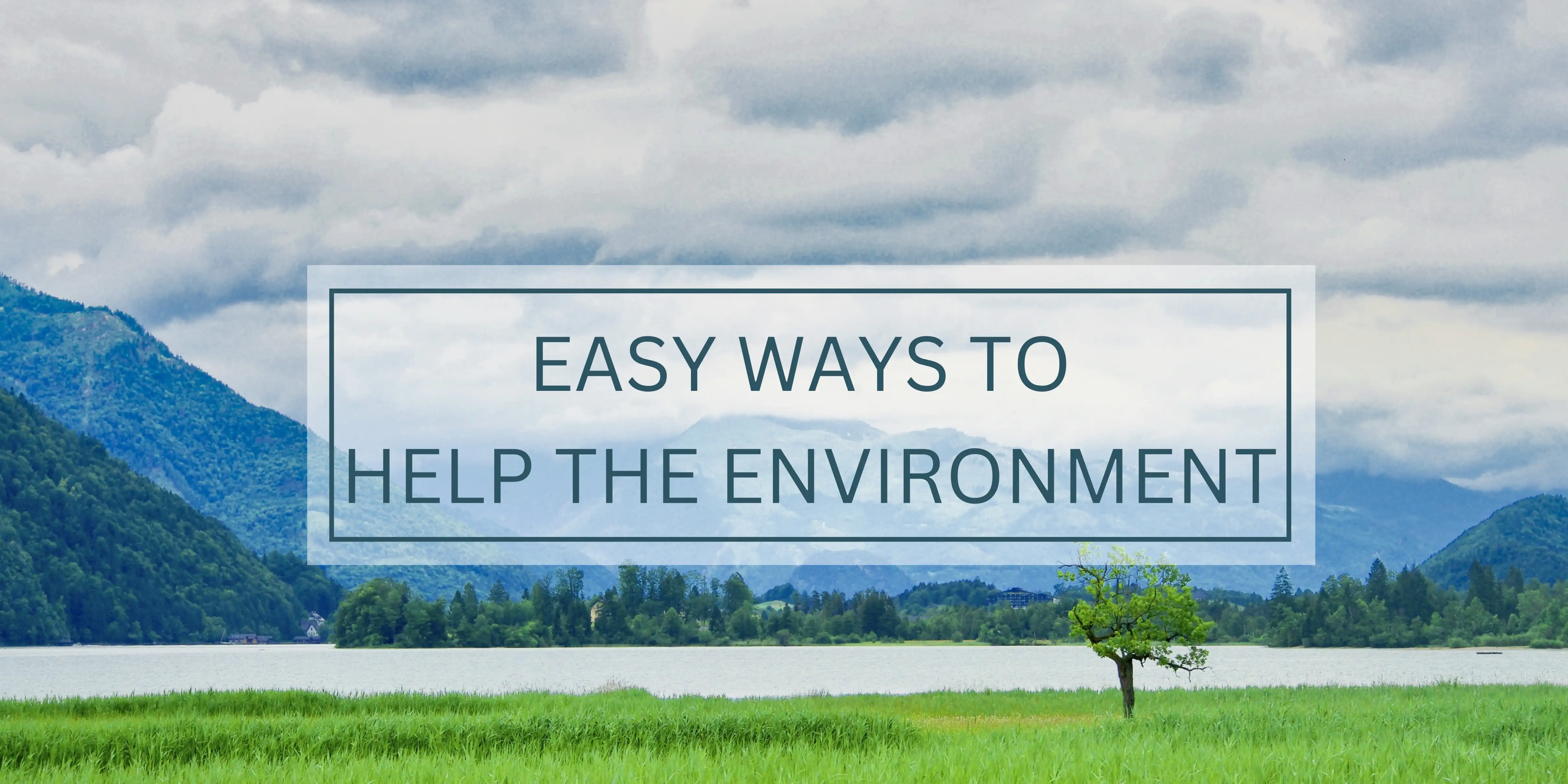 Simple Ways to Help the Environment