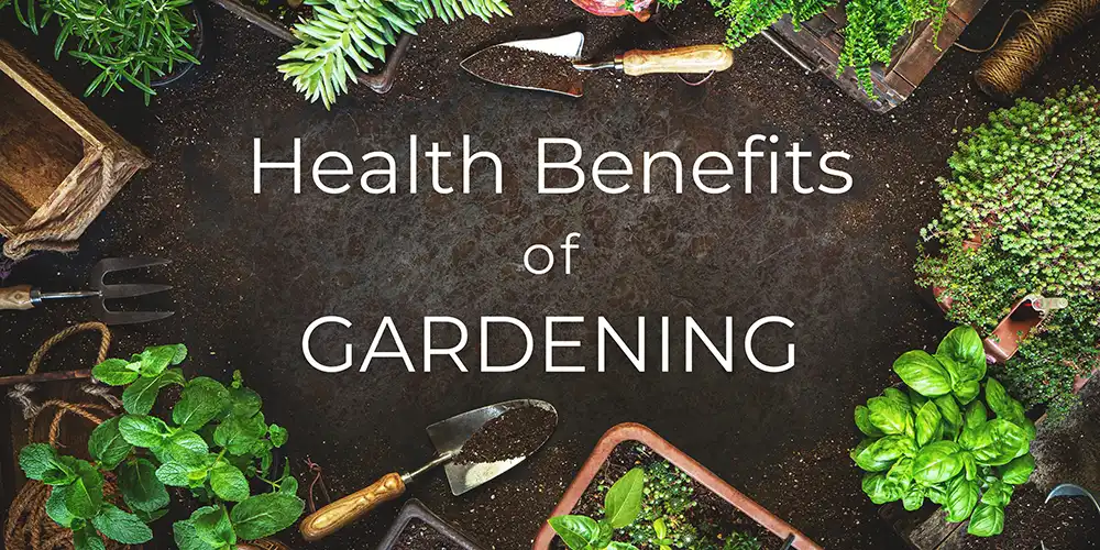 Health Benefits of Gardening
