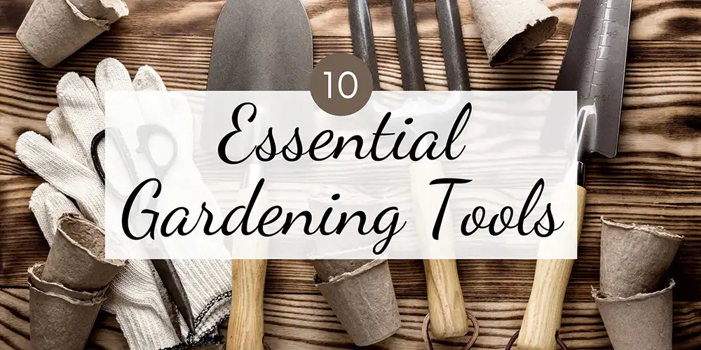 10 Essential Tools for Gardening