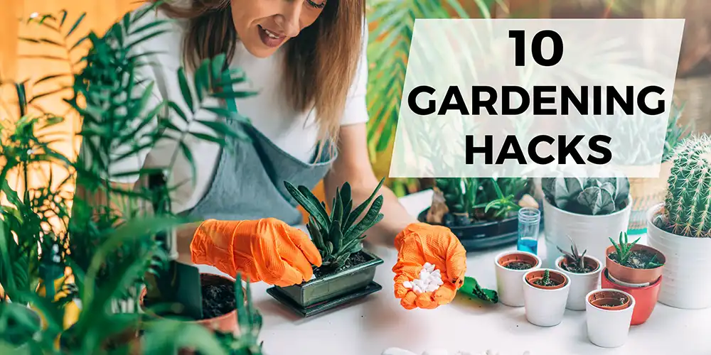 10 Gardening Hacks to Try at Home