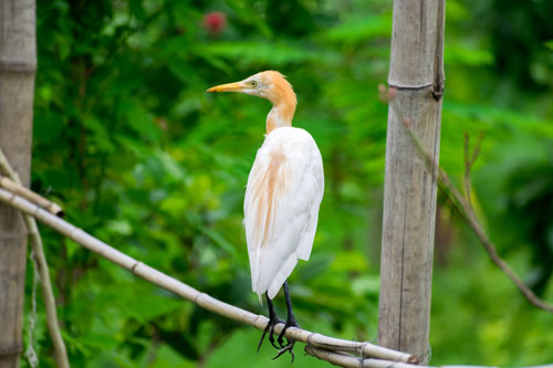 Biodiversity12