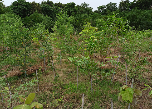 Devarakere, Bangalore