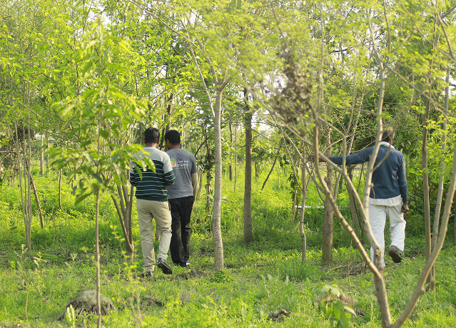 City Forest and Bird Park