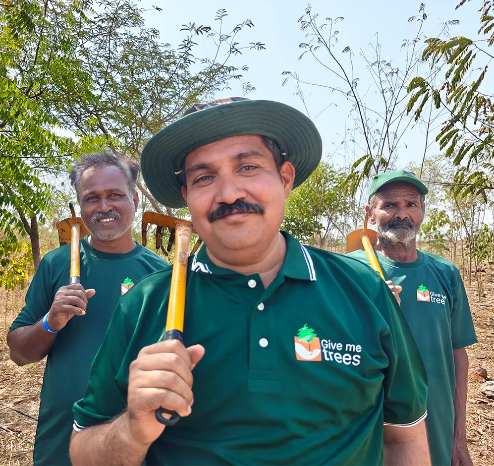 Give Me Trees non-profit organization