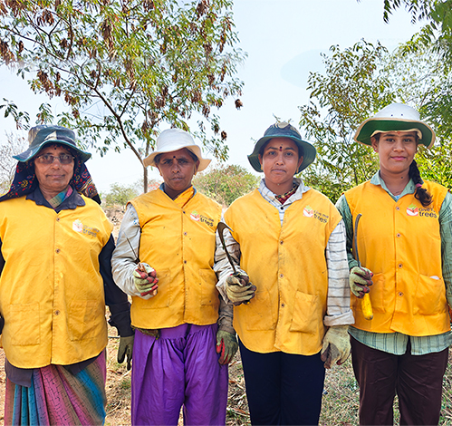 Planted over 10 million trees across India